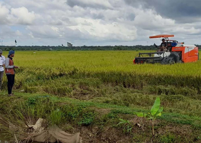 Penyuluh Pertanian Bakal Ditarik Menjadi Pegawai Tetap Kementan 