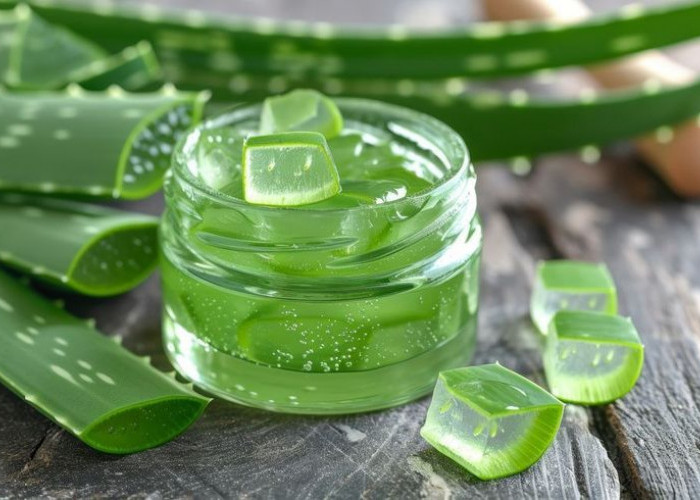 Resep Masker Lidah Buaya untuk Kulit Wajah Sehat dan Bebas Jerawat