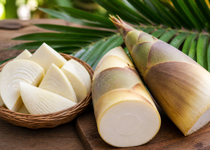 Manfaat Umbut Kelapa bagi Kesehatan: Bagian Tersembunyi dengan Nilai Tinggi
