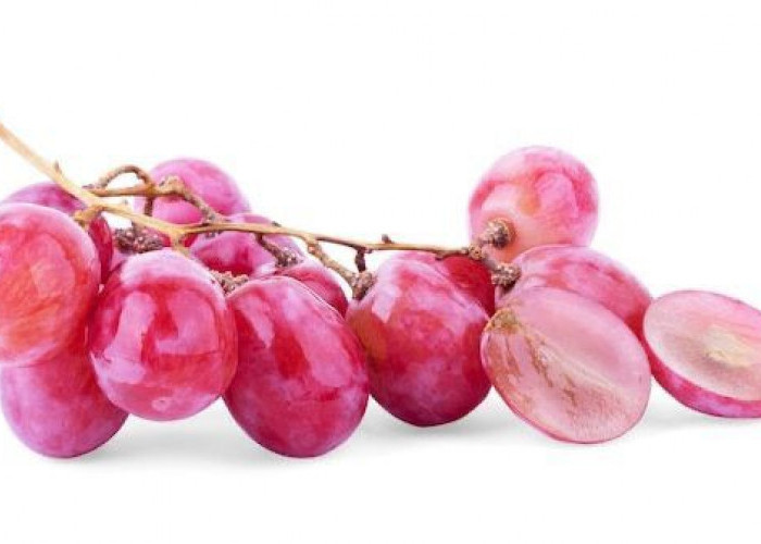 Anggur Merah: Nikmatnya Melegenda, Khasiatnya Menyehatkan Jantung!