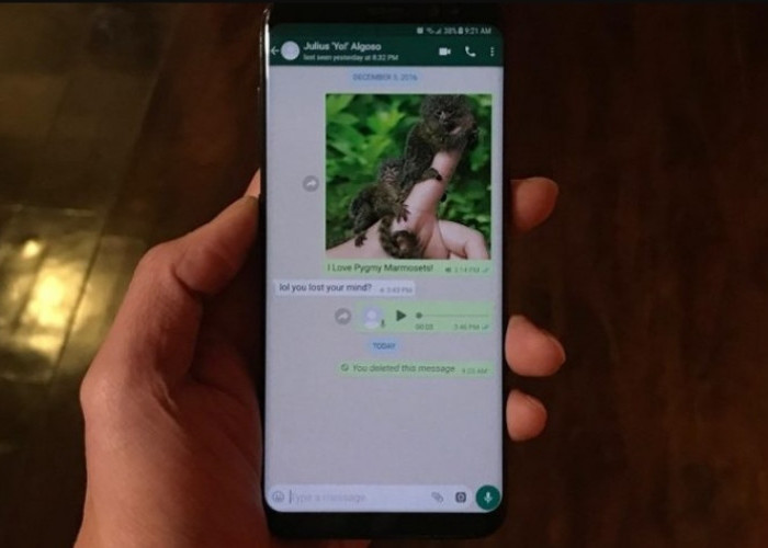Yang Ditunggu-tunggu! WhatsApp Kini Bisa Memgirim Foto HD dengan Kualitas Tinggi, Tersedia di Beta