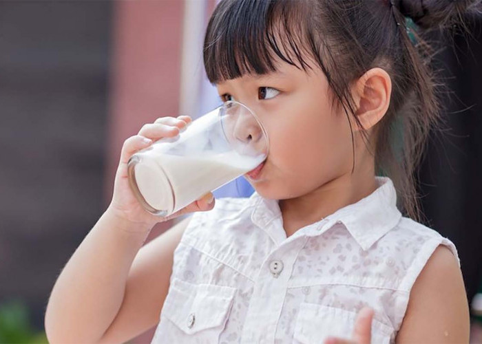 Susu Premium Dengan Kandungan Protein Hidrolisat, Cocok Anak yang Alergi Susu 