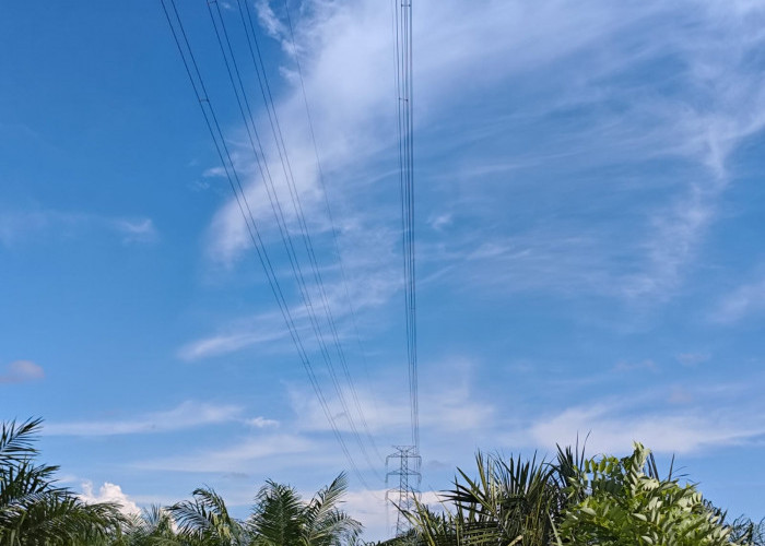 BREAKING NEWS, Listrik Padam Dari Bungus Padang Hingga Mukomuko, Ini Penyebabnya