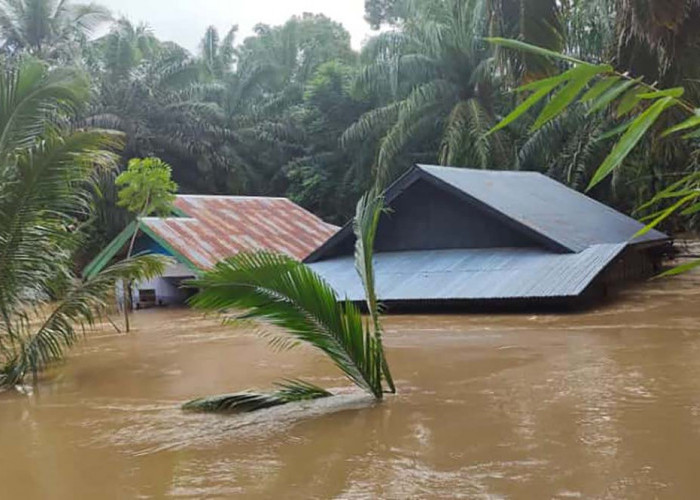 Kerugian Dampak Banjir di Mukomuko Ditaksir Capai Rp 2,5 Miliar
