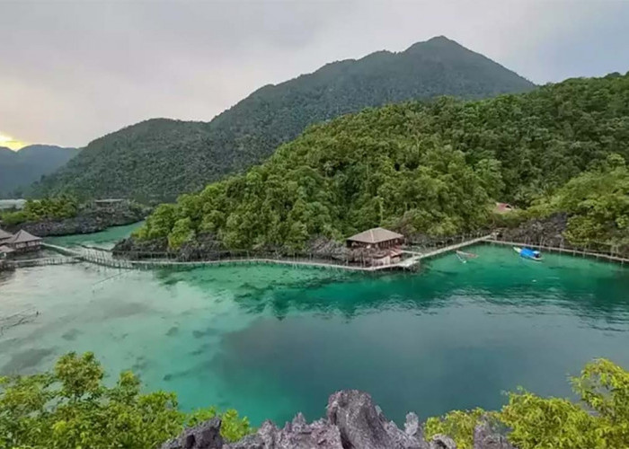 Pulau Labengki Pesona Alam Indonesia yang Memukau, Wajib Dikunjungi!