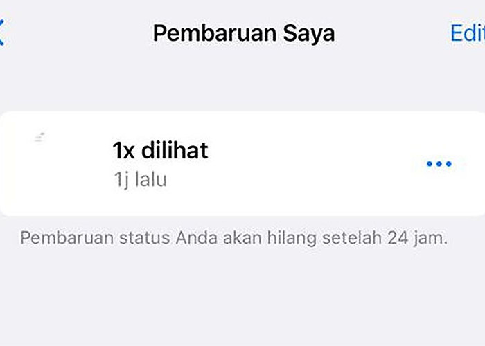 Beredar Soal Munculnya Tanda ‘X’ di Status WhatsApp, Apa Artinya?