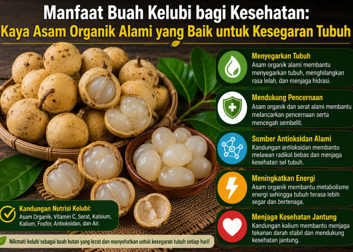 Manfaat Buah Kelubi bagi Kesehatan: Kaya Asam Organik Alami yang Baik untuk Kesegaran Tubuh