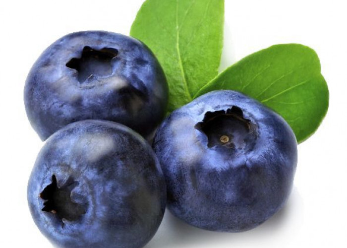 Blueberry: Buah Super yang Penuh Antioksidan untuk Tubuh yang Lebih Sehat!