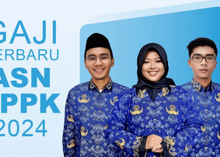 Gaji Terbaru ASN PPPK 2024, Jauh Diatas Gaji Tenaga Honorer