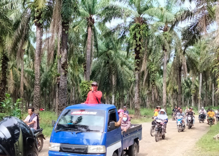 Pendemo PT. Agricinal Bengkulu Utara Bersitegang dengan Polisi
