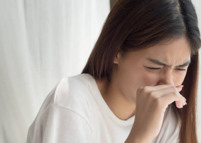 Penderita Sinusitis Wajib Tahu!! Berikut 4 Obat Herbal Untuk Meringankan Gejala Sinusitis