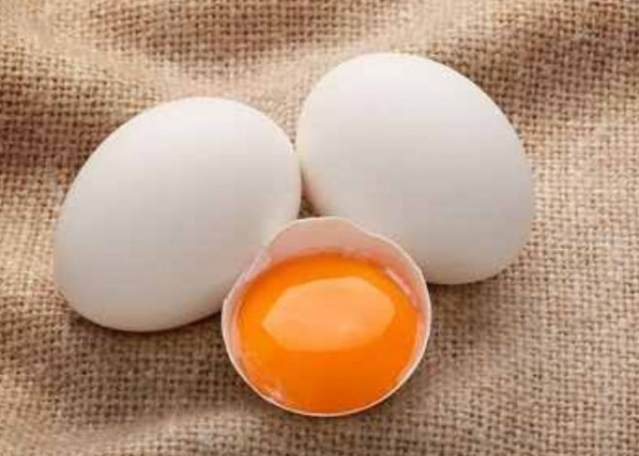 Kuningan Telur Banyak Manfaat, Namun Jika Menderita 3 Penyakit Ini Sebaiknya Hindari