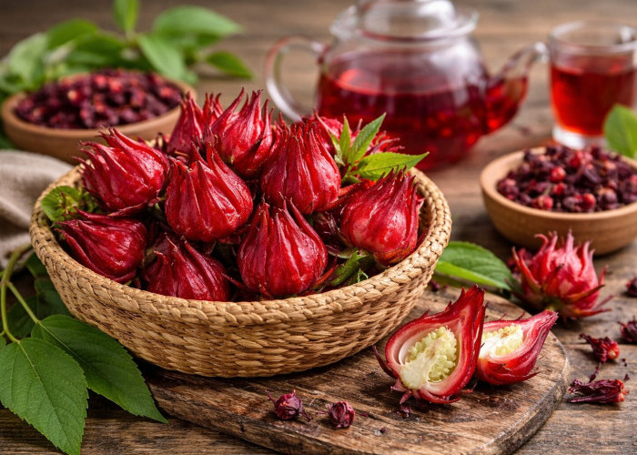 Daun Rosella: Herbal Asam Segar yang Baik untuk Tekanan Darah dan Kaya Antioksidan