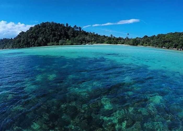 Pesona Keindahan Alam Bawah Laut yang Memukau di Pulau Abang