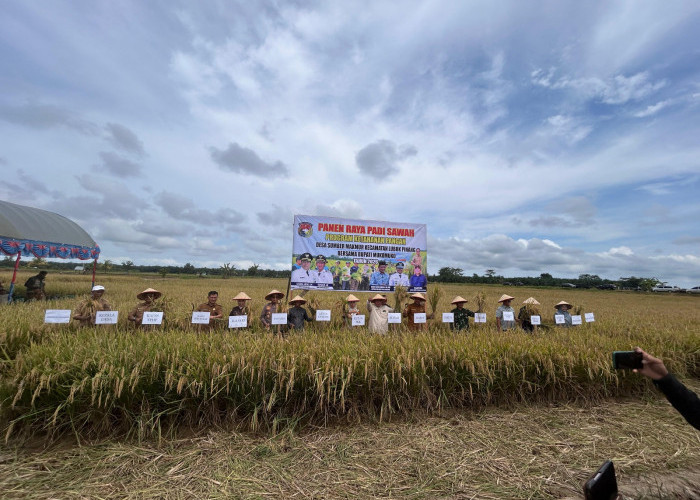 Panen Raya, Bupati Serahkan Bantuan Alsintan dan Pestisida Kepada Para Petani