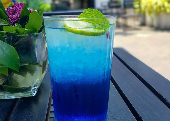 Segernya Bikin Mata Melek, Ini Dia Resep Blue Ocean Drink Cuma Pakai 4 Bahan Dijamin Nikmat