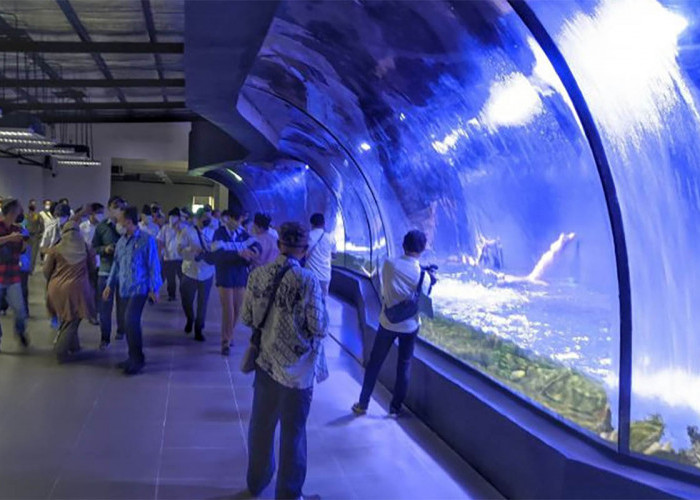 Liburan Akhir Tahun Semakin Seru, Yuk Ajak Keluarga Ke Wisata Aquarium Pangandaran