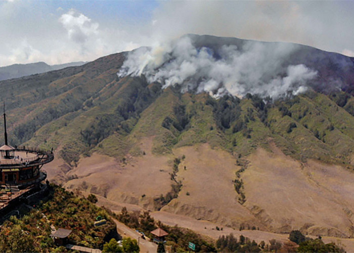 Api Bukit Bromo Tak Kunjung Padam, Pelaku Yang Buat Kebakaran Bukit Teletubbies Didenda 1,5 Miliar