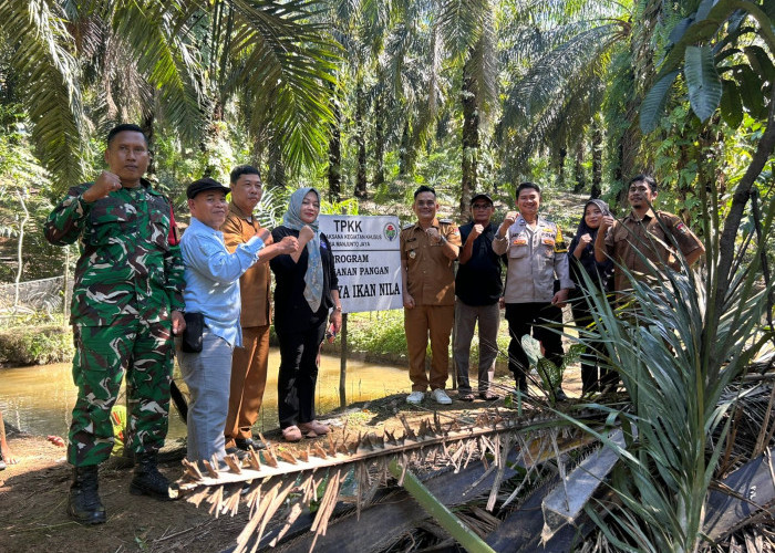 Pemdes Manjuto Jaya Panen Ikan Program Ketahanan Pangan