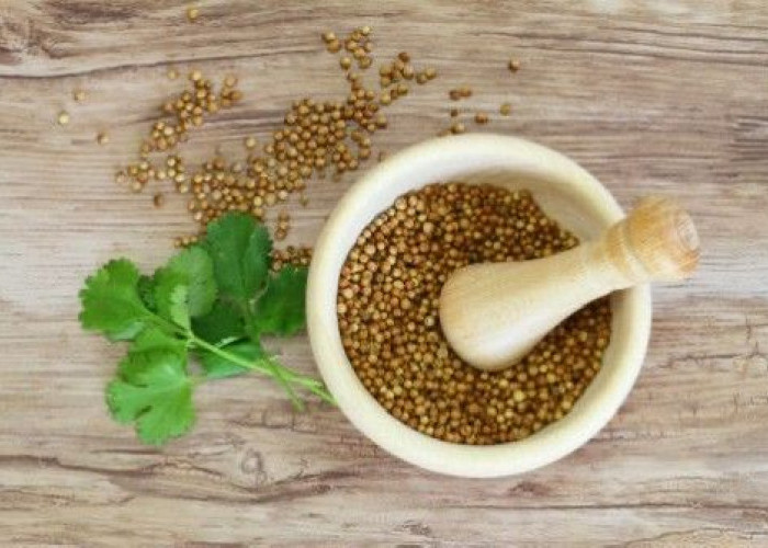 Manfaat Ketumbar untuk Pencernaan: Redakan Kembung, Mual, dan Diare!