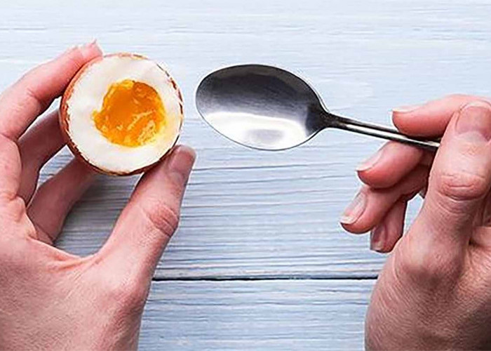 Anda Terkena Bisul Bukan Karena Terlalu Sering Mengkonsumsi Telur, Tapi Karena Hal Ini 