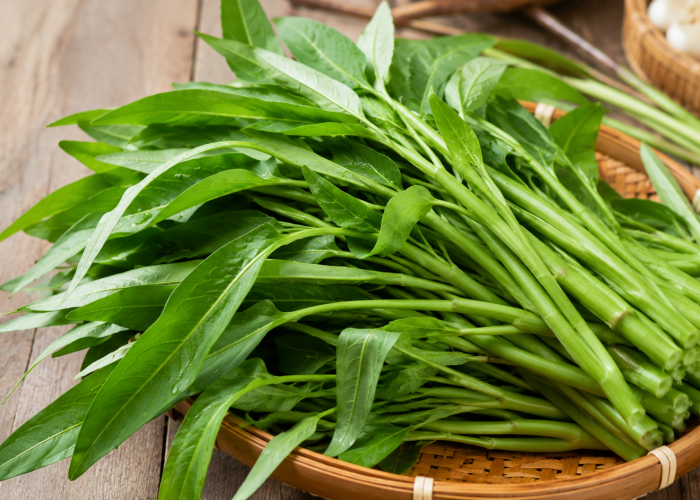 Manfaat Kangkung bagi Kesehatan: Kaya Vitamin A yang Baik untuk Mata dan Sistem Kekebalan Tubuh
