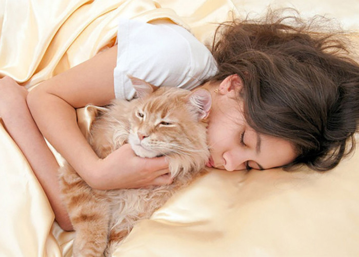 Dianggap Berbahaya, Ternyata Tidur Bersama Kucing Ternyata Banyak Manfaat Loh! Ini Kata Para Ahli