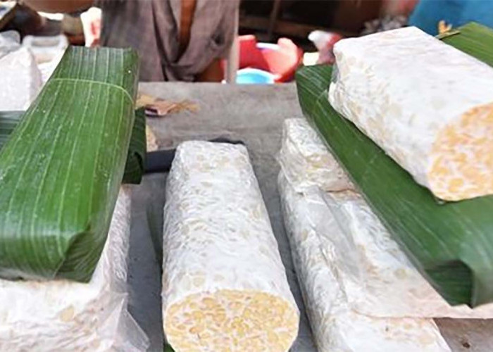 Dibungkus Plastik atau Daun Pisang, Tempe Mana yang Lebih Sehat?