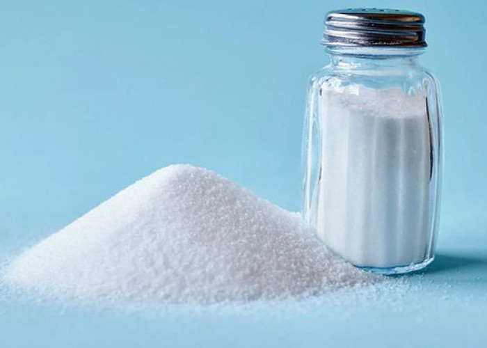 Bahaya Tersembunyi di Balik Rasa Asin: Mengapa Kelebihan Garam Mengancam Nyawa?