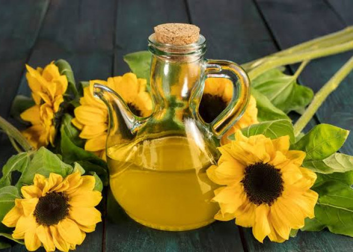 Manfaat Minyak Bunga Matahari untuk Kulit: Melembapkan, Mencerahkan, dan Melindungi!