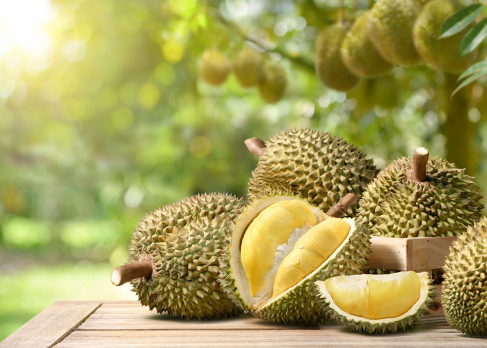Buah Durian Mengandung Ini, Sehingga Penderita Tensi Dilarang Mengonsumsinya