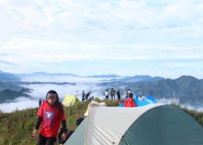 Pesona Wisata Buntu Liarra di Sulawesi Barat Bak Negeri di Atas Awan