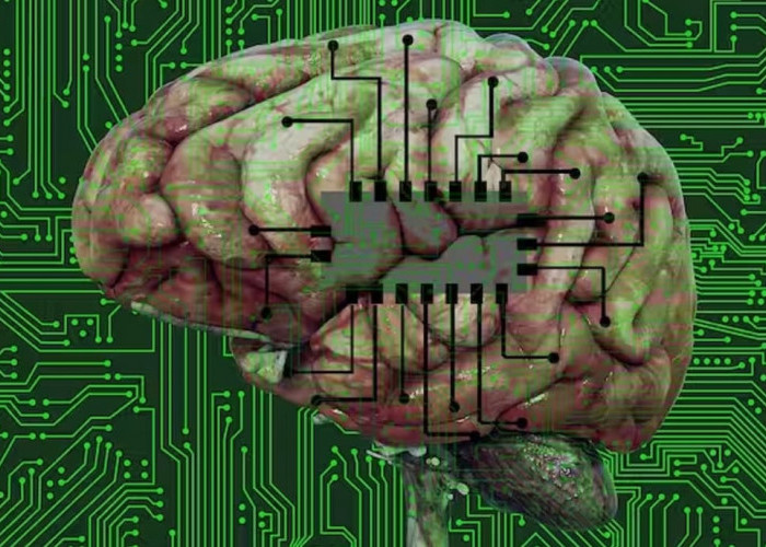 Perusahaan Neuralink, Milik Elon Musk Dapat Izin Pasang Chip di Otak Manusia