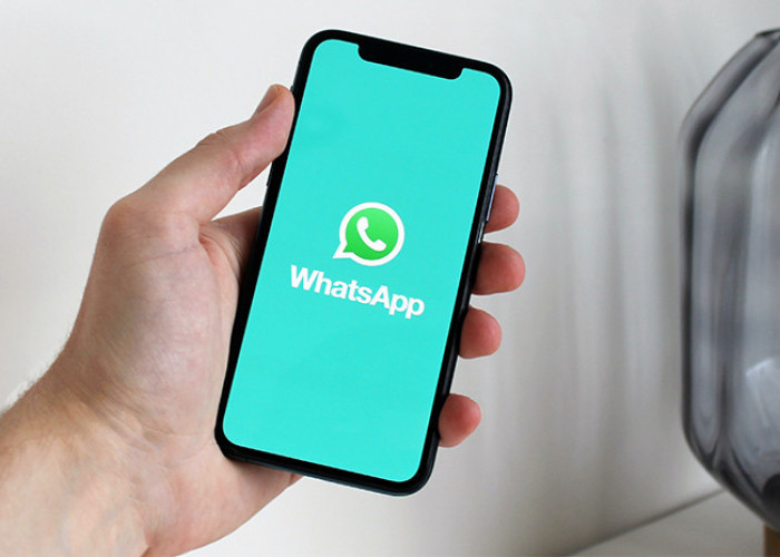 WhatsApp Hadirkan Fitur Memfilter Daftar Obrolan untuk Pengguna Android