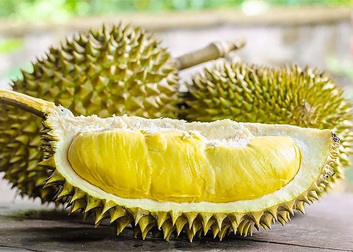 Mengonsumsi Durian Bisa Menambahkan Kadar Kolesterol? Simak Faktanya Berikut