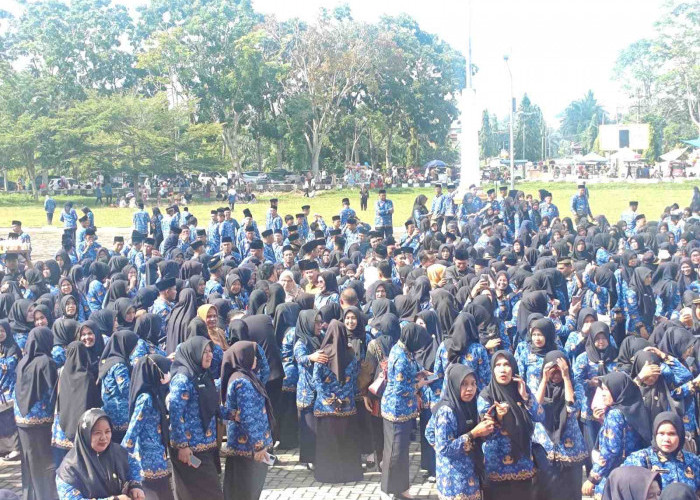 PPPK Paruh Waktu Juga Diharuskan Menggunakan Seragam Harian Seperti PNS