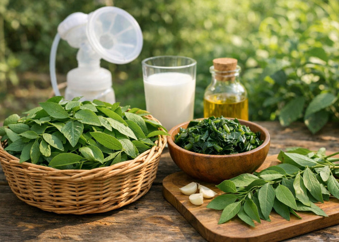 Daun Katuk: Sayuran Sederhana yang Ampuh Melancarkan ASI dan Menjaga Stamina