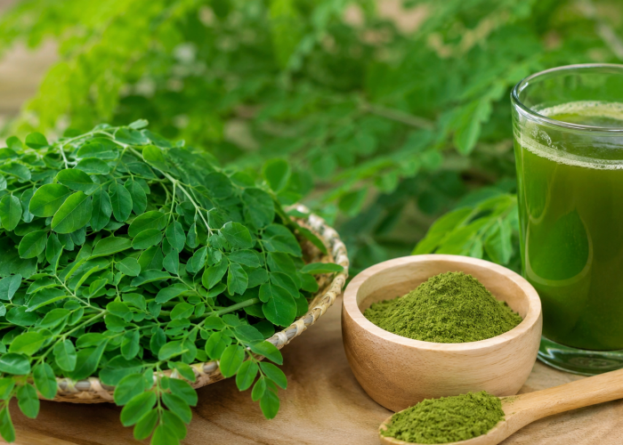 Manfaat Daun Kelor bagi Kesehatan: “Superfood” Lokal yang Mendunia