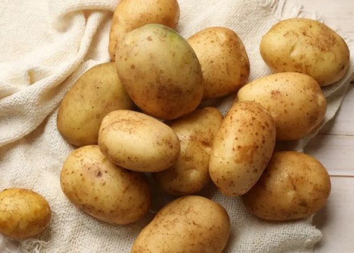 Kentang: Bukan Sekadar Karbohidrat, Sumber Vitamin dan Mineral Penting!