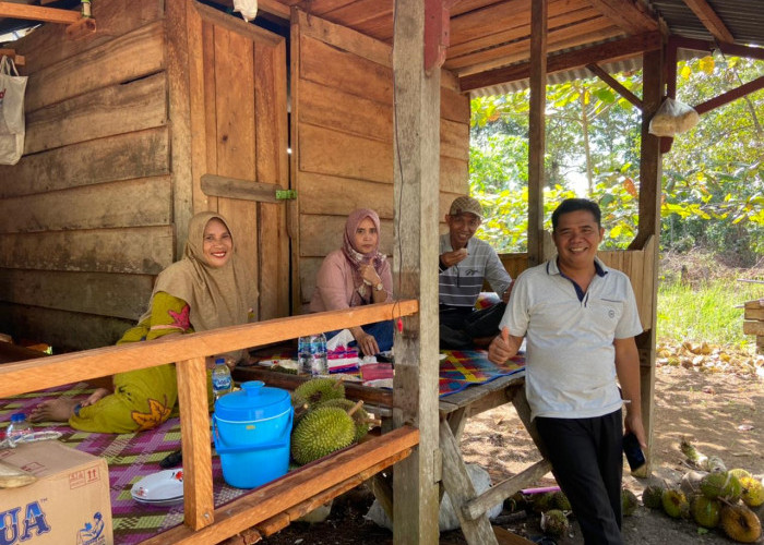 Pemkab Dukung Lubuk Cabau Jadi Desa Wisata Durian