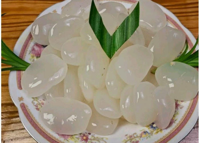 Variasi Olahan Kolang Kaling, dari Es Campur Hingga Pudding yang Lezat dan Menyehatkan