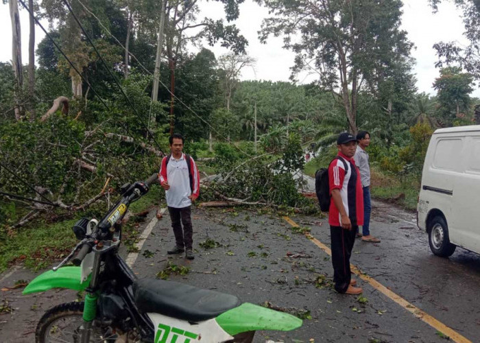 Hujan Badai, Listrik Padam, Jalinbar Kuburan Bunga Tanjung Terputus, Penyebabnya Ngeri