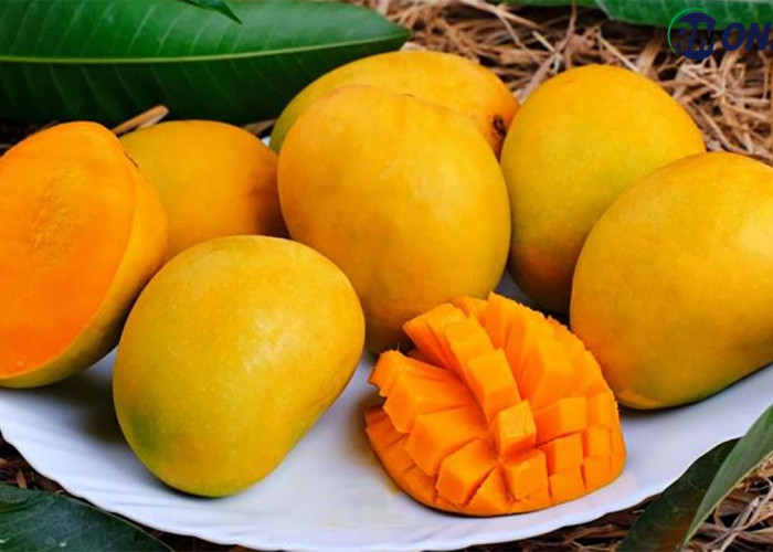 3 Tips Memilih Buah Mangga yang Manis dan Segar