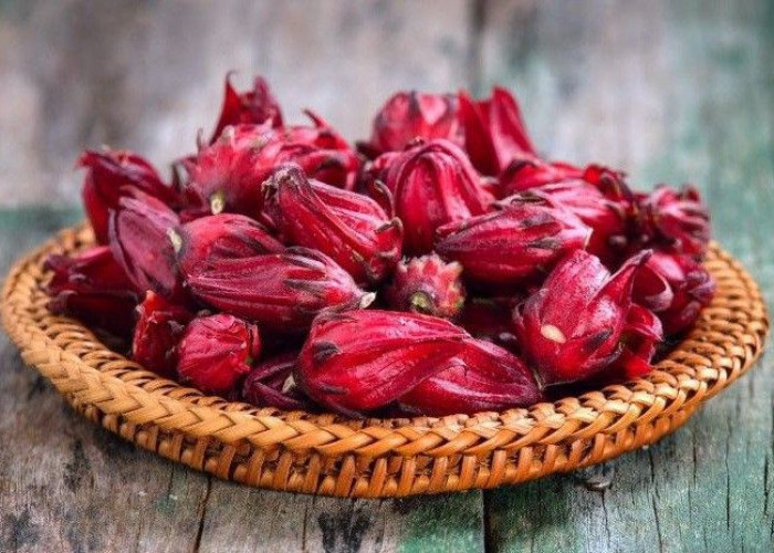 Eksplorasi Rasa Si Merah: Kreasi Olahan Rosela yang Segar, Manis, dan Menggugah Selera