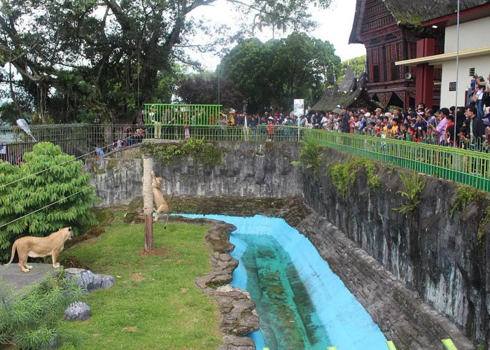 Taman Margasatwa Tertua Indonesia, Sejarah Berdirinya Kebun Binatang Bukittinggi