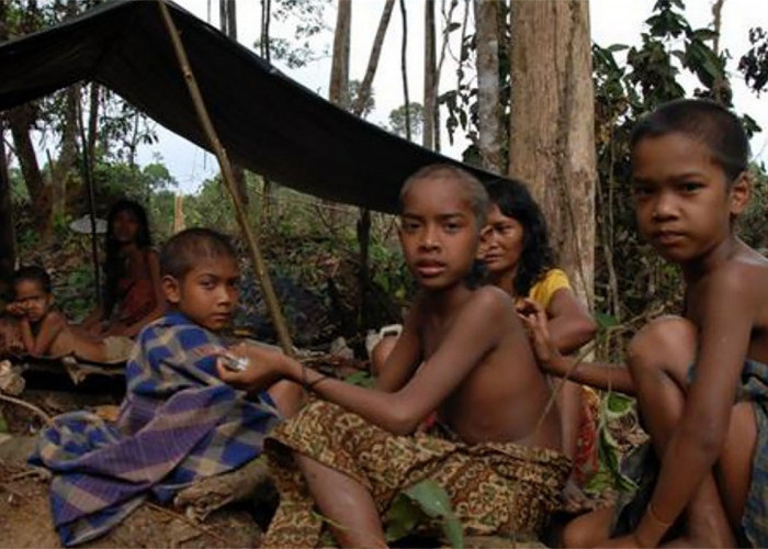 Mengenal Suku Anak Dalam Atau Suku Kubu, Penghuni Taman Nasional Bukit Duabelas