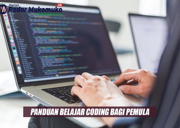 4 Panduan Mudah Belajar Coding Efektif Bagi Pemula