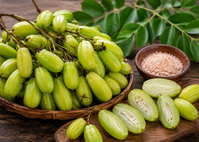 Manfaat Buah Cermai bagi Kesehatan: Buah Asam Segar yang Kaya Vitamin dan Serat