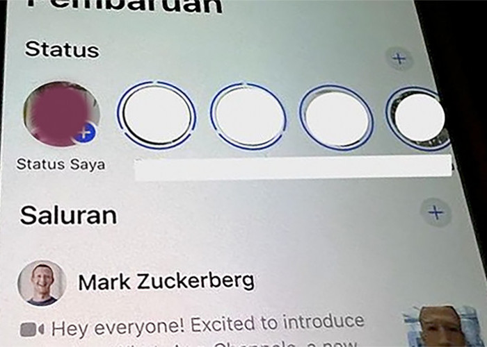 Heboh! Menu Status Pada Aplikasi WhatsApp Berubah Seperti Tampilan Instagram