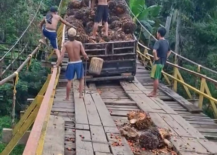 Jembatan Gantung Talang Buai Sudah Tua, Dua Kali Alami Kerusakan dalam Sepekan